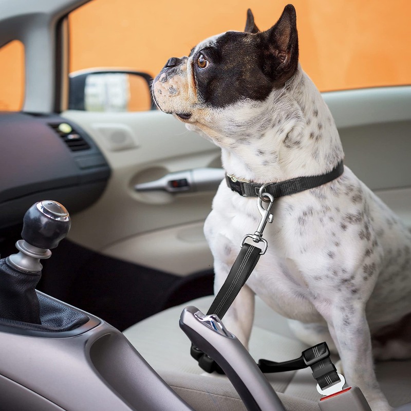Retractable Dog Car Harness Se - Snap Fastener Setter review and price